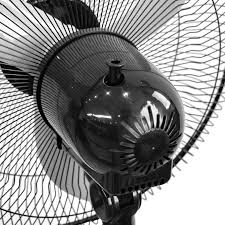 Ventilador altezza pedestal 16"